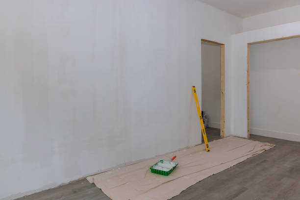 Best Attic Mold Removal  in Millville, NJ