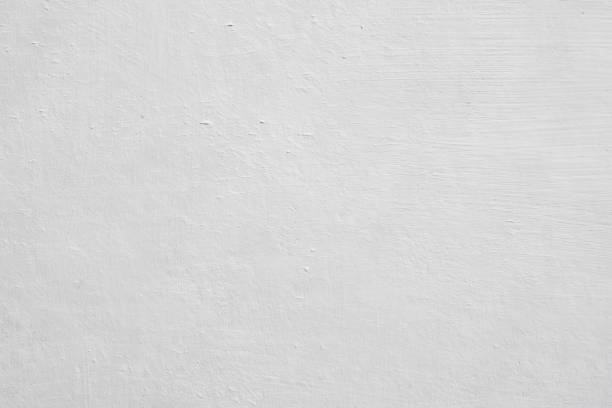 Best Commercial Mold Inspection  in Millville, NJ